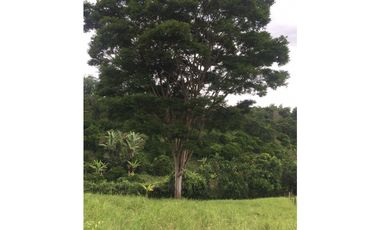 Lote en venta en la Tebaida Quindío
