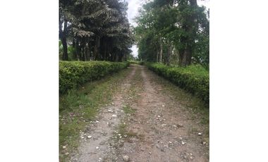 Lote en venta en la Tebaida Quindío
