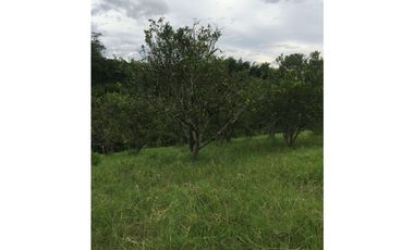 Lote en venta en la Tebaida Quindío