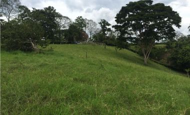 Lote en venta en la Tebaida Quindío