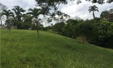 Lote en venta en la Tebaida Quindío