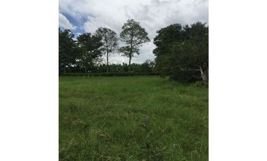 Lote en venta en la Tebaida Quindío