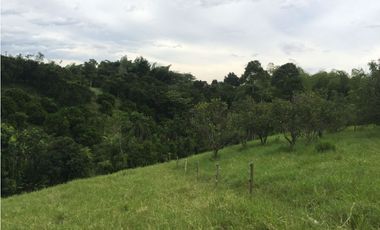 Lote en venta en la Tebaida Quindío