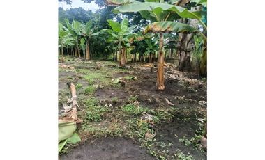 Finca en la Tebaida Quindío 3 cuadras