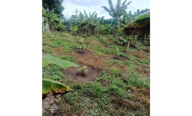 Finca en la Tebaida Quindío 3 cuadras