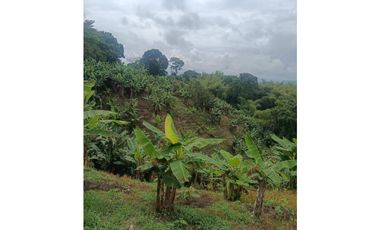 Finca en la Tebaida Quindío 3 cuadras