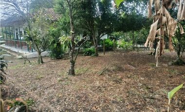 Finca en la Tebaida Quindío 3 cuadras