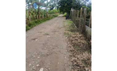 Finca en la Tebaida Quindío 3 cuadras