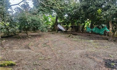 Finca en la Tebaida Quindío 3 cuadras