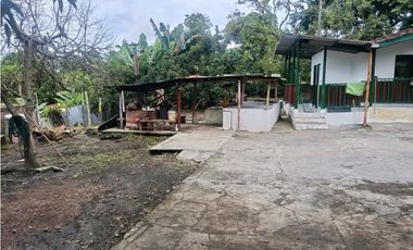 Finca en la Tebaida Quindío 3 cuadras