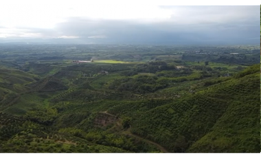 Se vende finca en el municipio de Buenavista Quindio Vereda Los Balsos