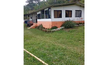 Se vende finca en el municipio de Buenavista Quindio Vereda Los Balsos