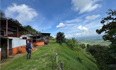 Se vende finca en el municipio de Buenavista Quindio Vereda Los Balsos