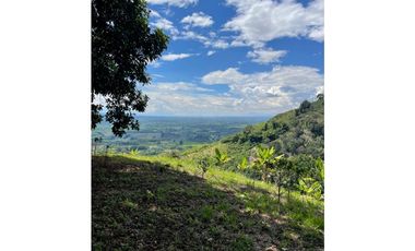 Se vende finca en el municipio de Buenavista Quindio Vereda Los Balsos