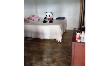 Se vende finca en el municipio de Buenavista Quindio Vereda Los Balsos