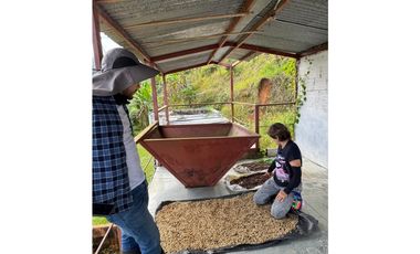 Se vende finca en el municipio de Buenavista Quindio Vereda Los Balsos