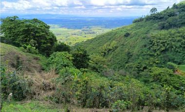 Se vende finca en el municipio de Buenavista Quindio Vereda Los Balsos