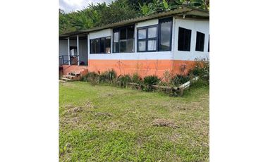 Se vende finca en el municipio de Buenavista Quindio Vereda Los Balsos