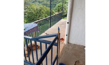 Se vende finca en el municipio de Buenavista Quindio Vereda Los Balsos