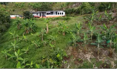 Se vende finca en el municipio de Buenavista Quindio Vereda Los Balsos