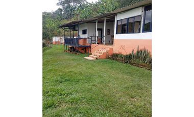 Se vende finca en el municipio de Buenavista Quindio Vereda Los Balsos