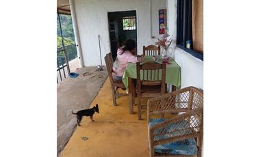 Se vende finca en el municipio de Buenavista Quindio Vereda Los Balsos