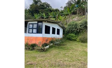 Se vende finca en el municipio de Buenavista Quindio Vereda Los Balsos