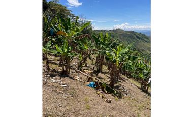 Se vende finca en el municipio de Buenavista Quindio Vereda Los Balsos