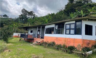 Se vende finca en el municipio de Buenavista Quindio Vereda Los Balsos