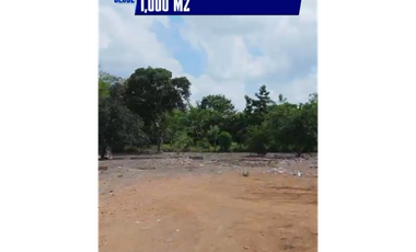 VENTA DE LOTES EN LA VEREDA  BESITO VOLAO DE MONTERIA