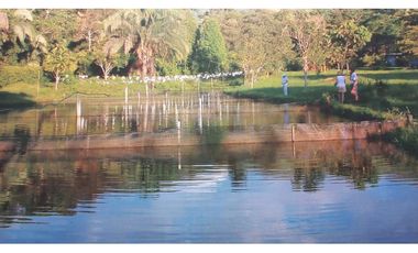 VENTA FINCA OPORTUNIDAD DE PROYECTO ECOTURSTICO EN MELGAR TOLIMA