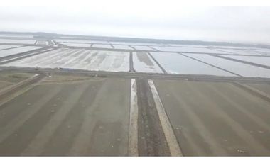 Camaronera de 394 Has en Venta   Tenguel Guayas