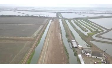 Camaronera de 394 Has en Venta   Tenguel Guayas