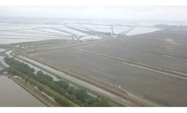 Camaronera de 394 Has en Venta   Tenguel Guayas