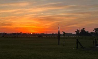 Casa Quinta en venta - 3 Dormitorios 1 Baño - San Miguel del Monte