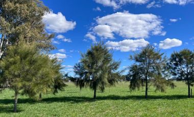 Casa Quinta en venta - 3 Dormitorios 1 Baño - San Miguel del Monte