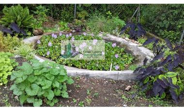 VENTA DE CASA EN  POTRERILLO ABAJO 2 CASAS EN PRECIO DE 1