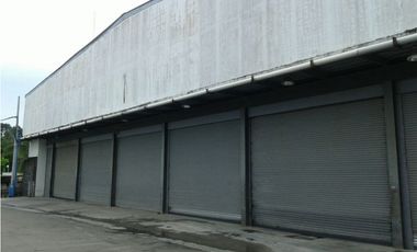 SE VENDE | GALERA LLANO BONITO