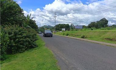 Terreno en venta o alquiler con galera en La Chorrera (DR)