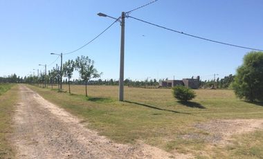 VENTA TERRENO BARRIO LAS CASUARINAS IBARLUCEA 1033,6 M2