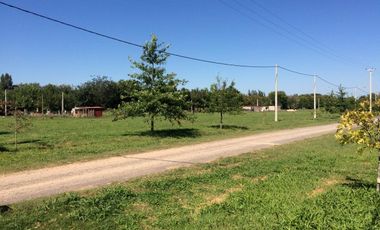 VENTA TERRENO BARRIO LAS CASUARINAS IBARLUCEA 1033,6 M2