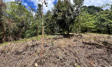 Parcela en venta en VALDIVIA