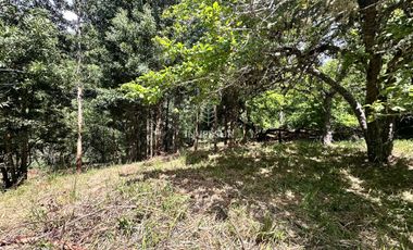 Parcela en venta en VALDIVIA