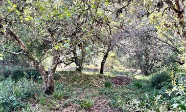 Parcela en venta en VALDIVIA