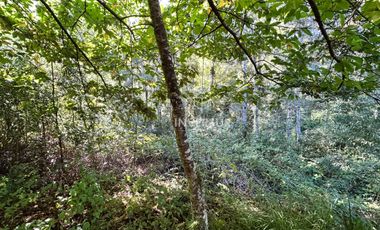 Parcela en venta en VALDIVIA