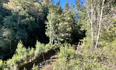 Parcela en venta en VALDIVIA