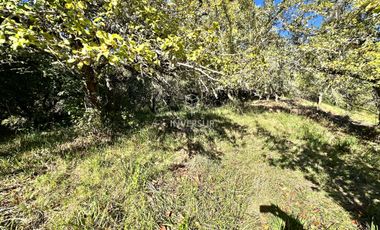 Parcela en venta en VALDIVIA