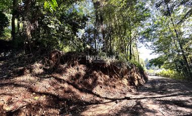 Parcela en venta en VALDIVIA