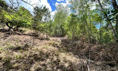 Parcela en venta en VALDIVIA