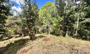 Parcela en venta en VALDIVIA